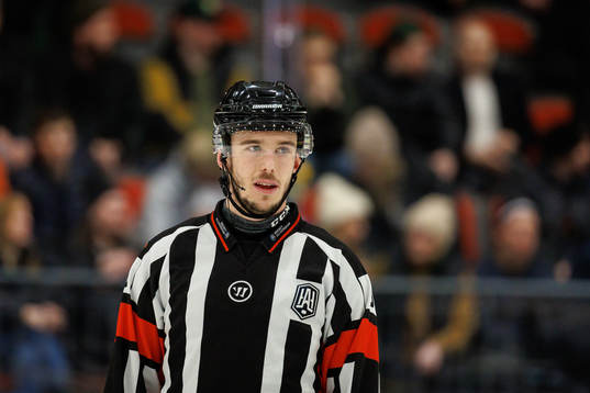 Domare Oscar Niklasson