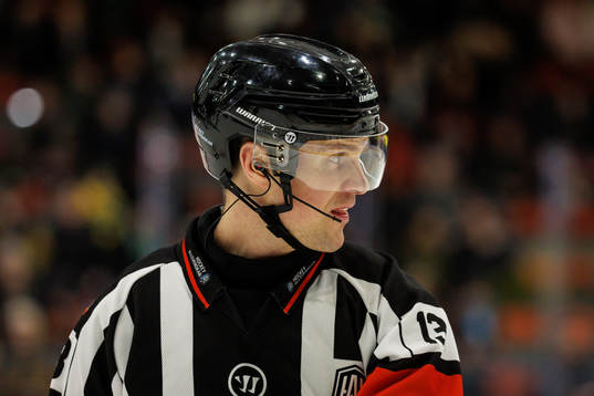 Domare Stefan Johansson