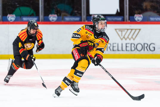 Brynäs Anna Meixner och Luleås Jenni Hiirikoski