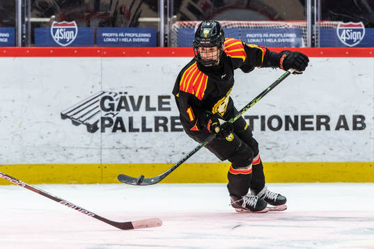 Brynäs Lara Stalder