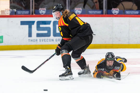 Brynäs Rosa Lindstedt och Luleås Viivi Vainikka