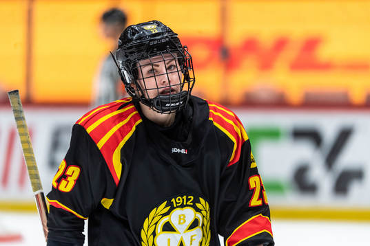 Brynäs Moa Wernblom