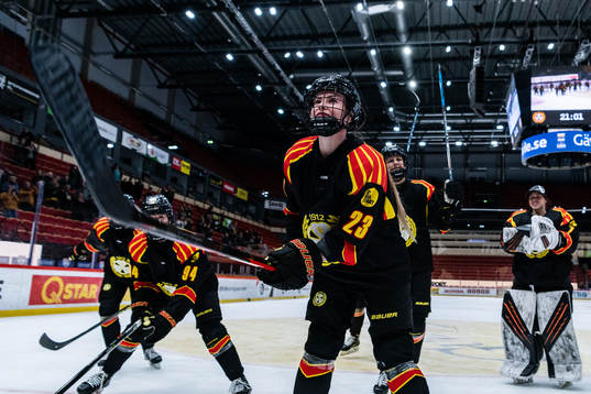 Bläddra bland fler bilder av Ishockey, SDHL, Brynäs - Luleå