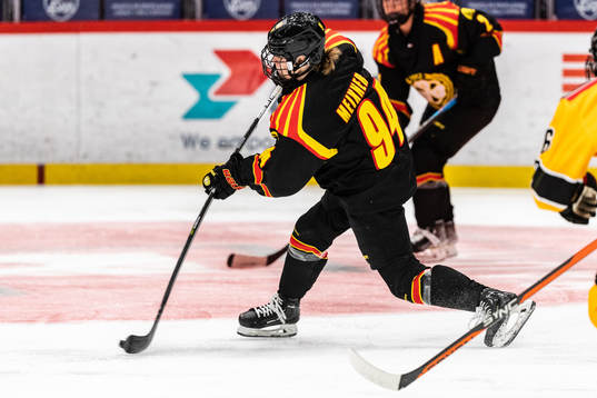 Brynäs Anna Meixner