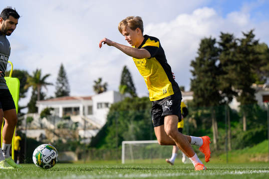 Pontus Dahbo