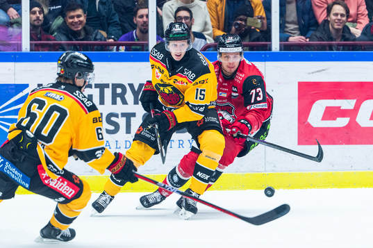 Luleås Julius Honka och Carl Mattsson