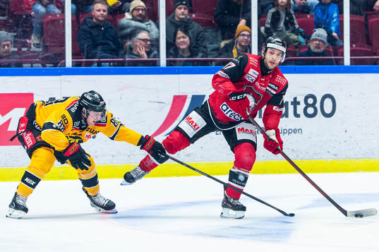Luleås Joonas Rask och Malmö Redhawks Pathrik Westerholm
