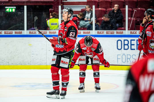 Malmö Redhawks Fredrik Händemark deppar med lagkamraterna