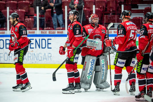 Malmö Redhawks spelare deppar