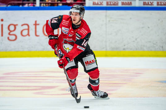 Malmö Redhawks Carl-Johan Lerby