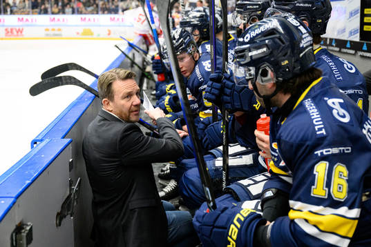HV71s assisterande tränare Charles Berglund