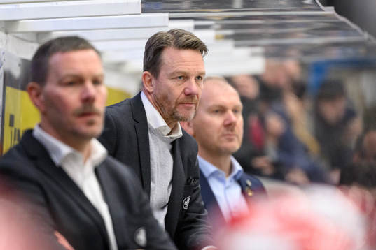 HV71s assisterande tränare Charles Berglund
