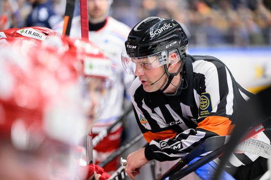 Domare Mikael Nord