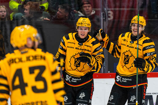 Skellefteås Rickard Hugg jublar med Jonathan Johnsson
