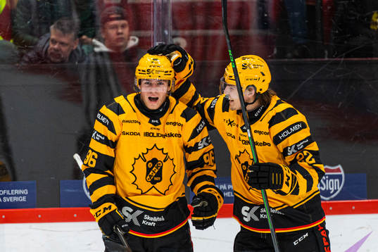 Skellefteås Rickard Hugg jublar med Jonathan Johnsson