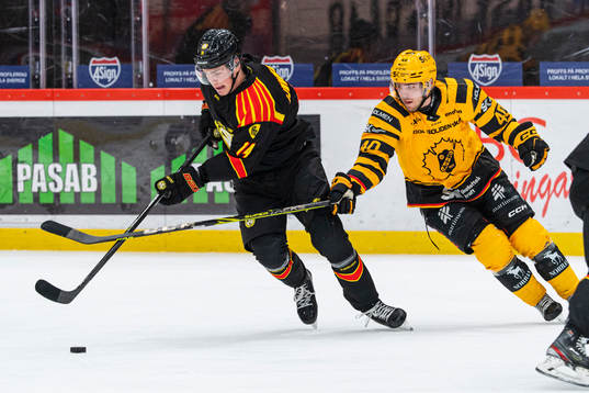 Brynäs Alexander Ljungkrantz och Skellefteås Joakim