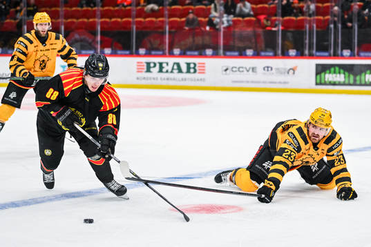 Brynäs Dmytro Timashov och Skellefteås Adam Mascherin