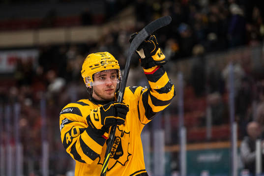Skellefteås Andreas Wingerli deppar