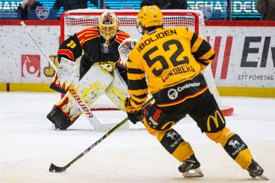 Skellefteås Arvid Lundberg och Brynäs målvakt Anders