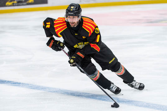 Brynäs Anton Rödin