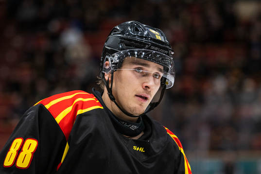 Brynäs Dmytro Timashov