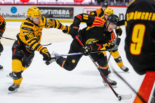 Skellefteås Rickard Hugg och Brynäs David Sklenicka