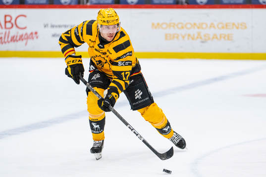 Skellefteås Pär Lindholm