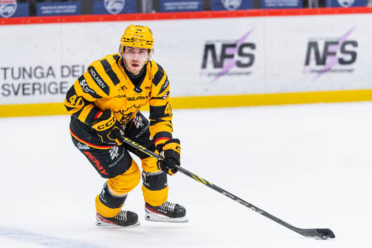 Skellefteås Andreas Wingerli