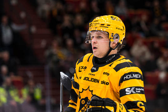 Skellefteås Måns Forsfjäll