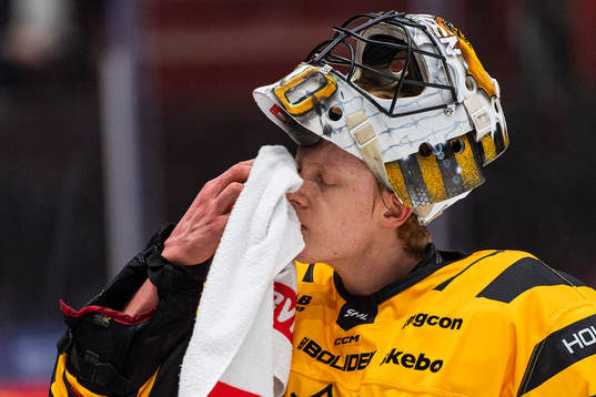 Skellefteås målvakt Alexander Hellnemo