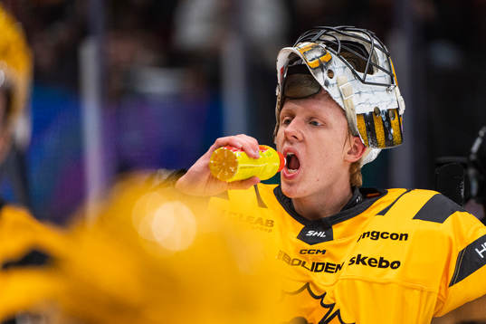 Skellefteås målvakt Alexander Hellnemo