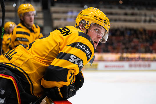 Skellefteås Måns Forsfjäll