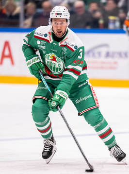 Rögles Michael Kapla