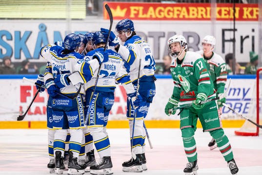 Leksands spelare jublar