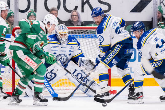 Leksands målvakt Mantas Armalis