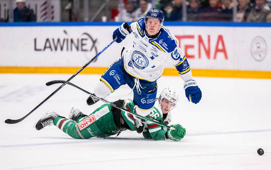 Leksands Emil Heineman och Rögles Adam Engström