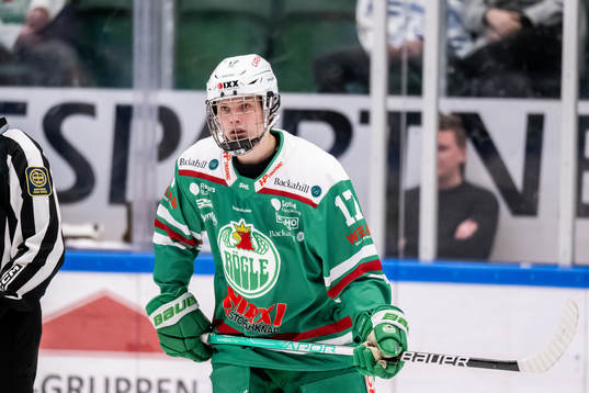 Rögles Felix Nilsson