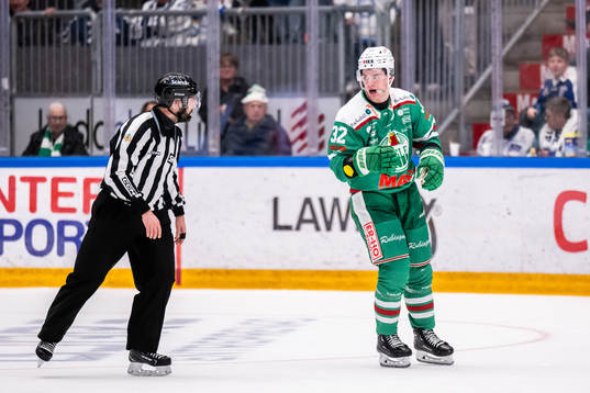 Linjedomare Anders Jansson och Rögles Oskar Pettersson