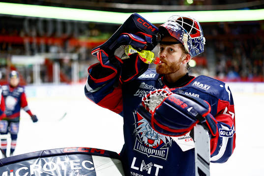 Linköpings målvakt Marcus Högberg
