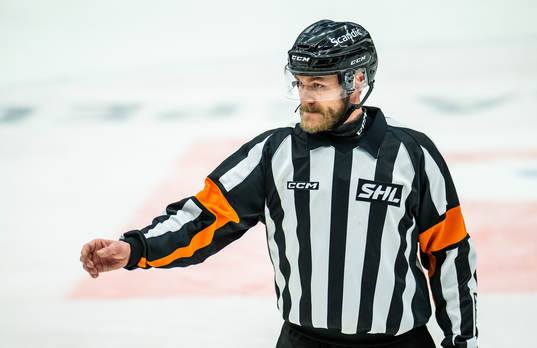 Domare Daniel Eriksson