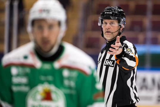 Domare Mikael Nord