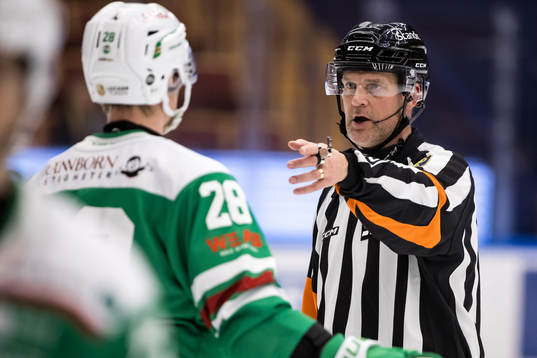 Domare Mikael Nord