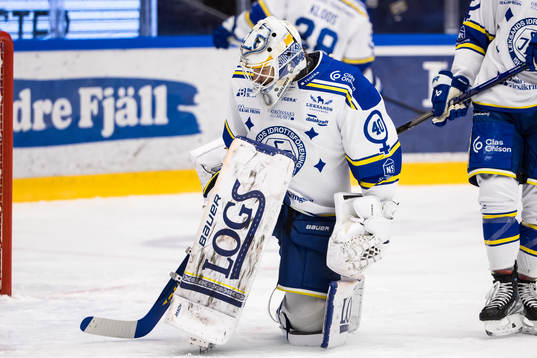 Leksands målvakt Mantas Armalis