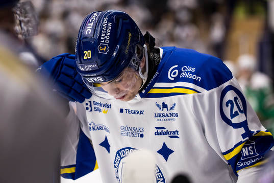Leksands Lian Bichsel