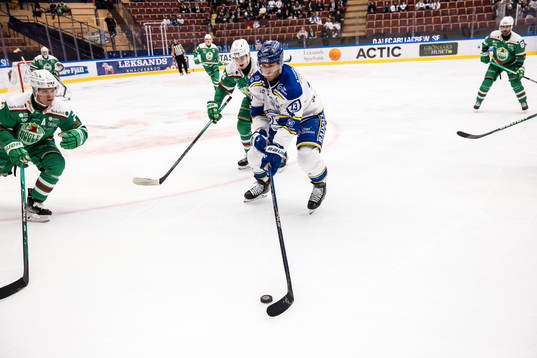Leksands Jon Knuts