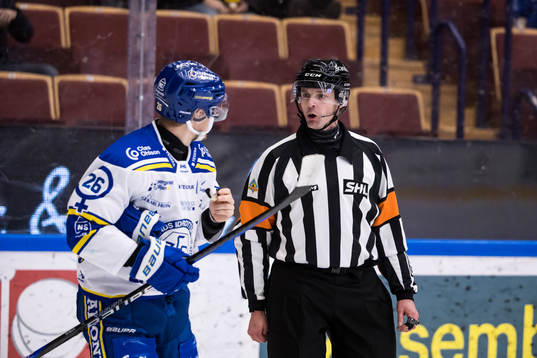 Domare Mikael Andersson