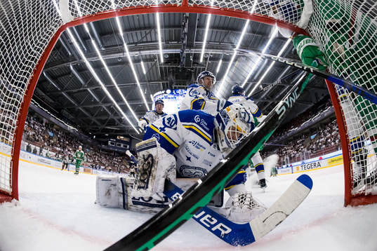 Leksands målvakt Mantas Armalis