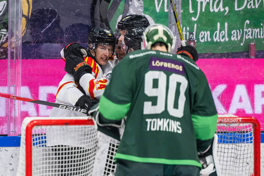 Brynäs David Sklenicka jublar