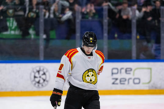 Brynäs David Sklenicka deppar