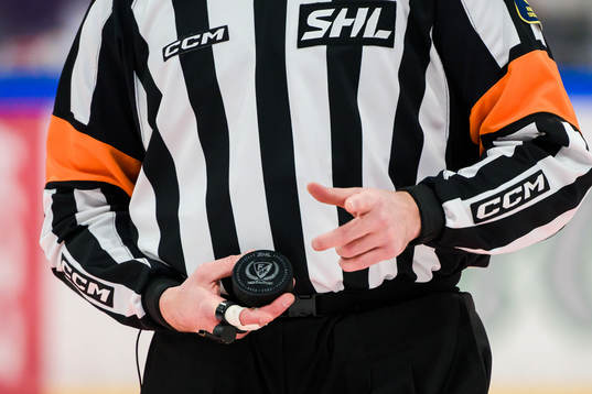 Domare med en Färjestads puck
